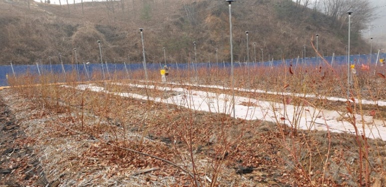 진농원 이미지