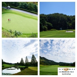 (주)태영레져 이미지