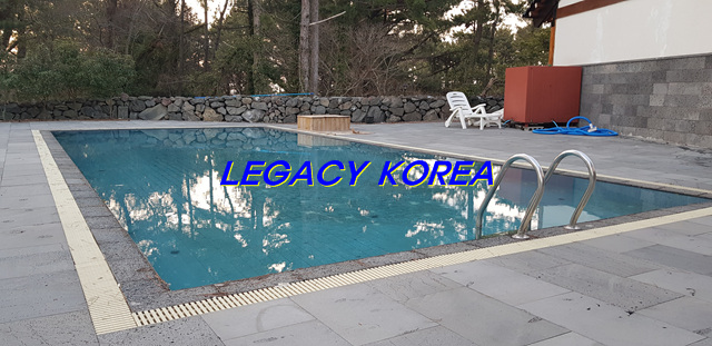 제주솔 이미지
