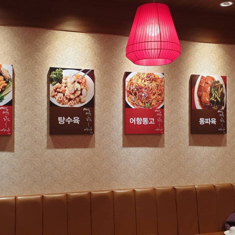 일일향 이미지