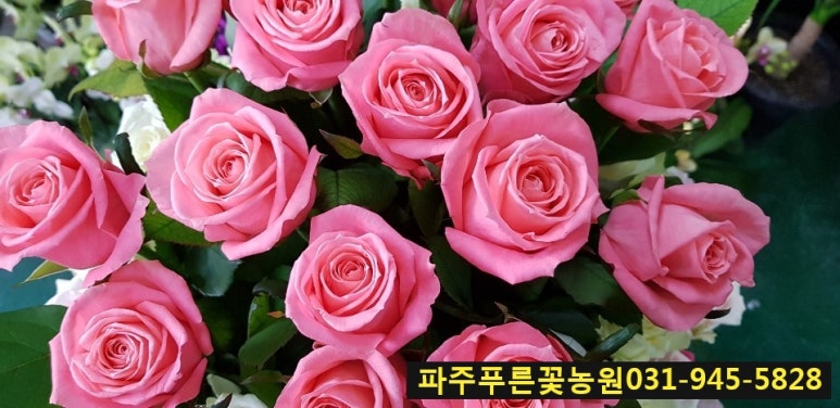 하나로꽃농원 이미지