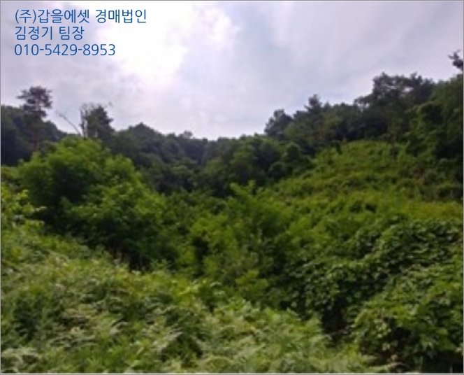 강릉JC 이미지