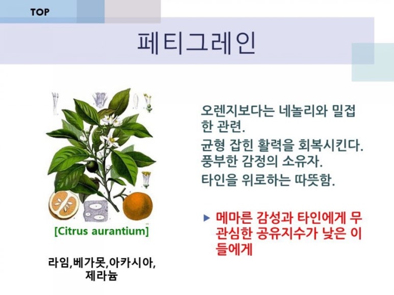자연미인에스테틱 이미지