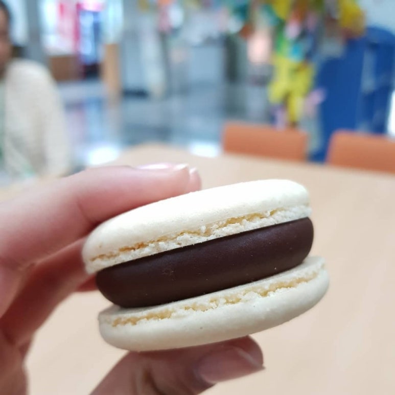 달롱가 이미지