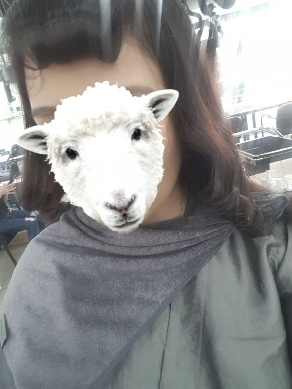 진헤어(Jin Hair) 이미지