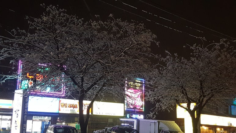 이지랜드 이미지