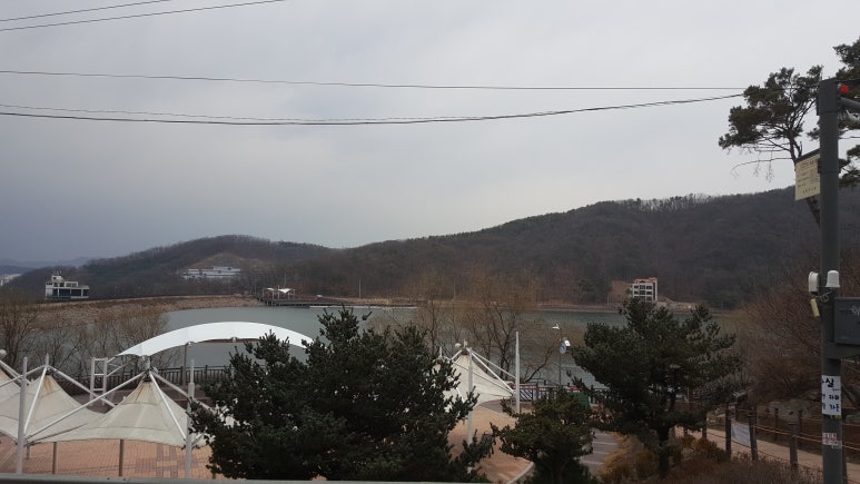 이지랜드 이미지