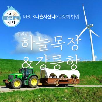 힐링투어라인 이미지