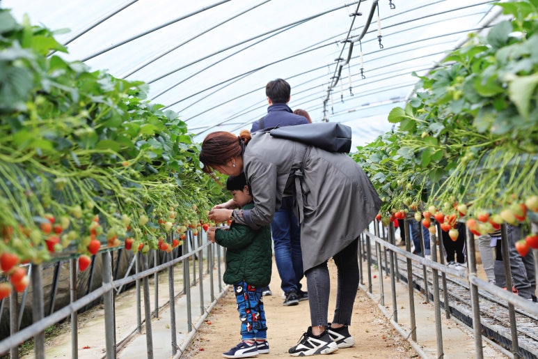 논산바다 이미지