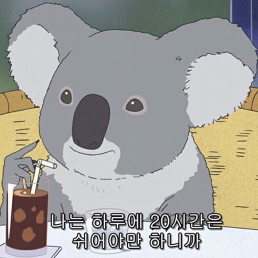 레이디벅스 이미지