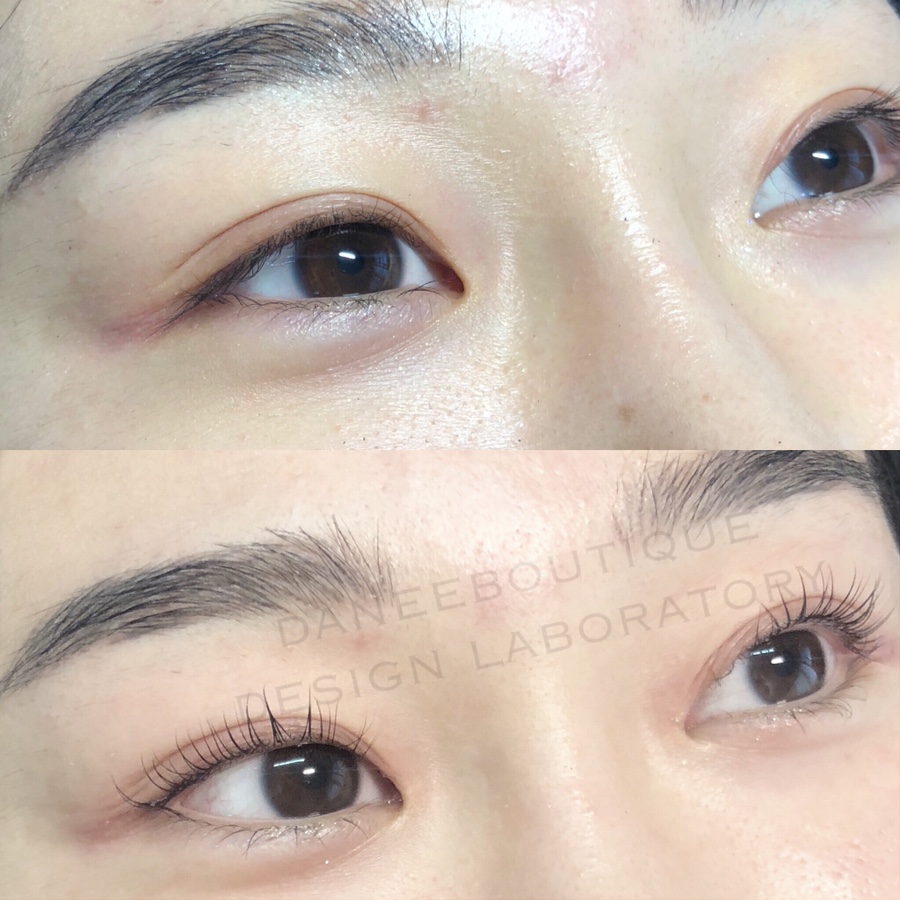 다니부띠끄 이미지