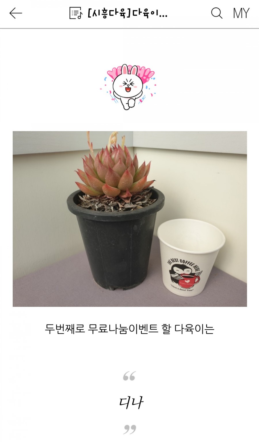 호산나꽃다육 이미지