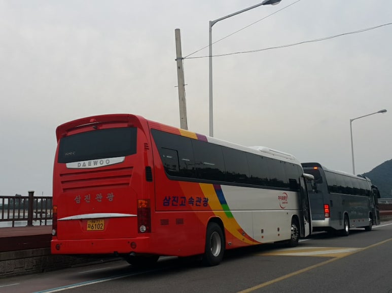 삼진관광 이미지