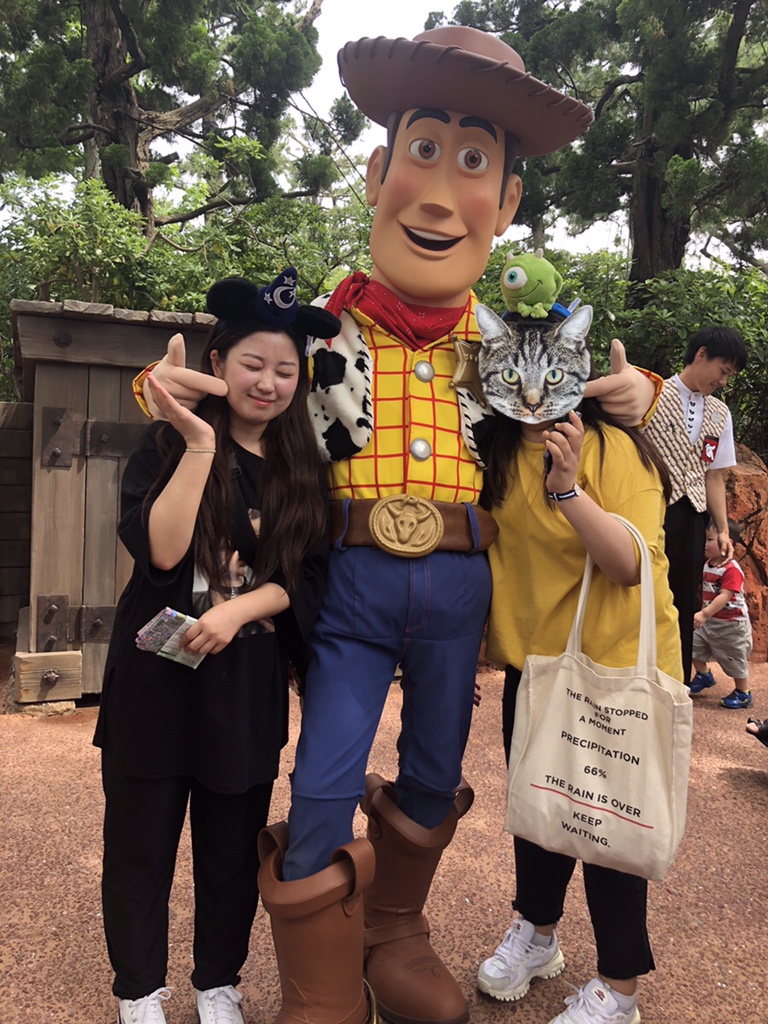 젤리마운틴 이미지
