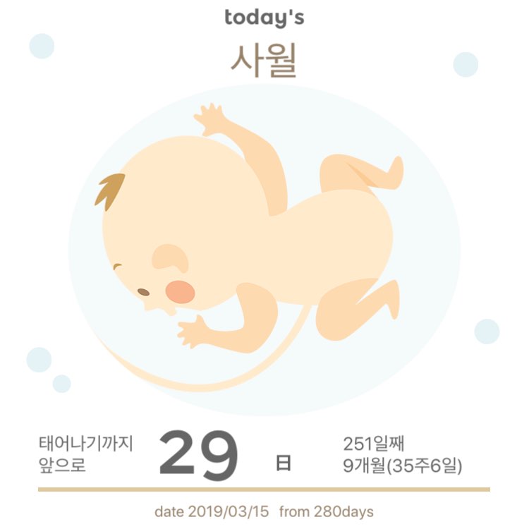모모의 선물 이미지