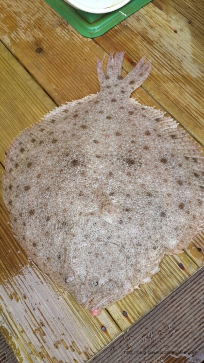삼식이네 이미지