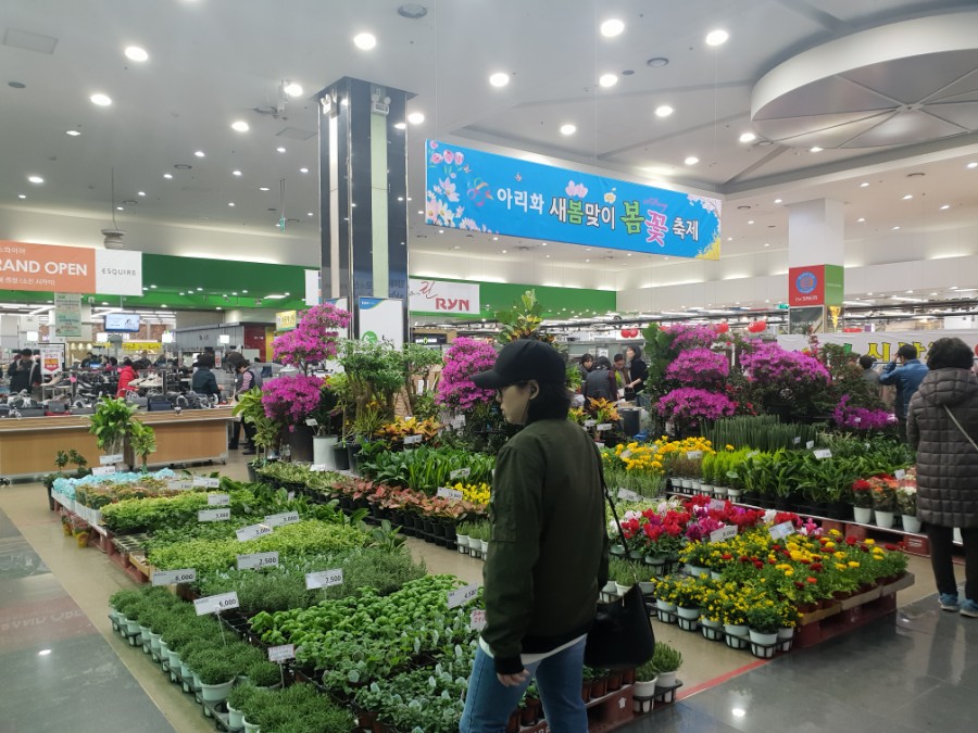 하나로공판장 이미지