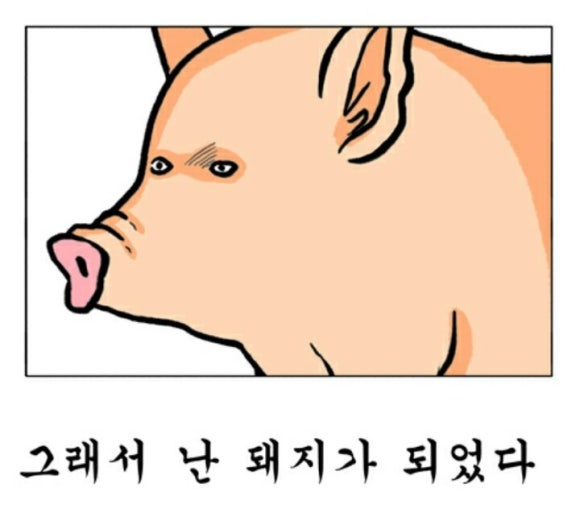 키스더쿡 이미지