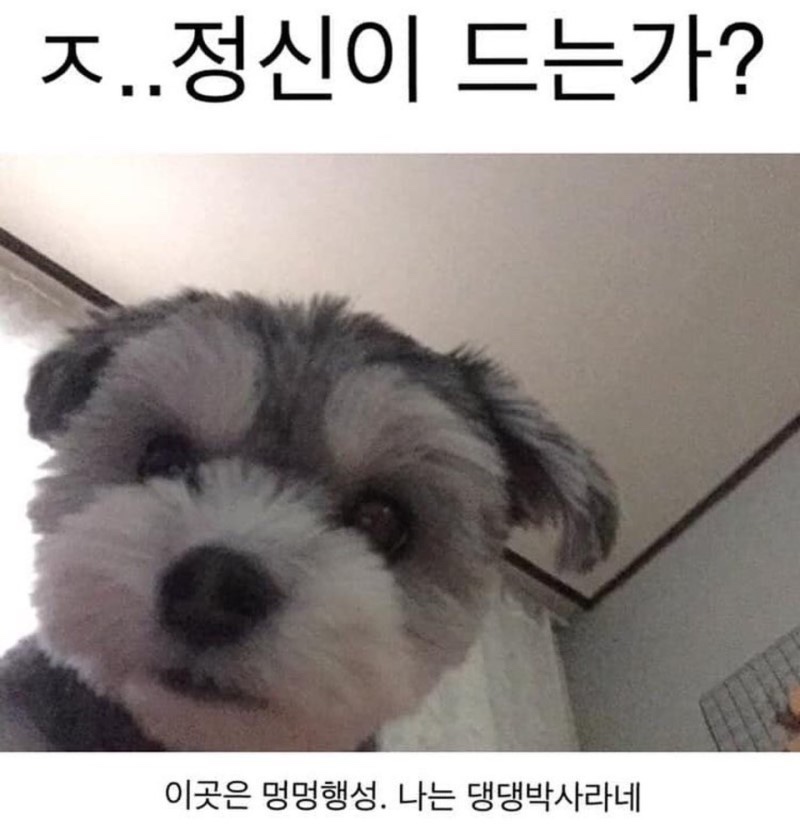 늦잠 이미지