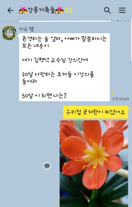 하늘미인 이미지