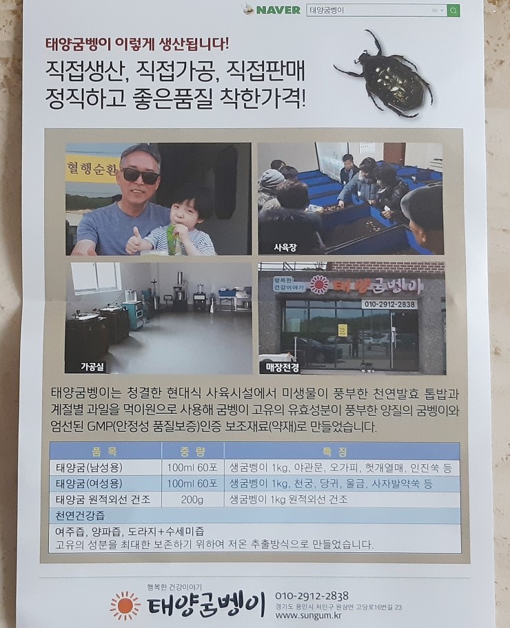 태양굼벵이 이미지
