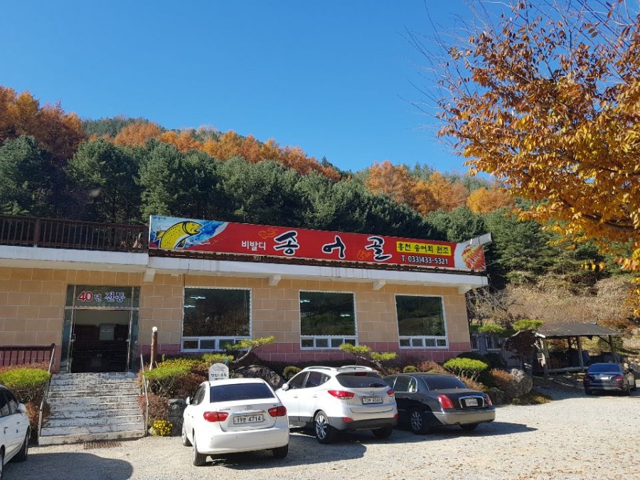 비발디송어골 이미지