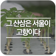 해피팜 이미지