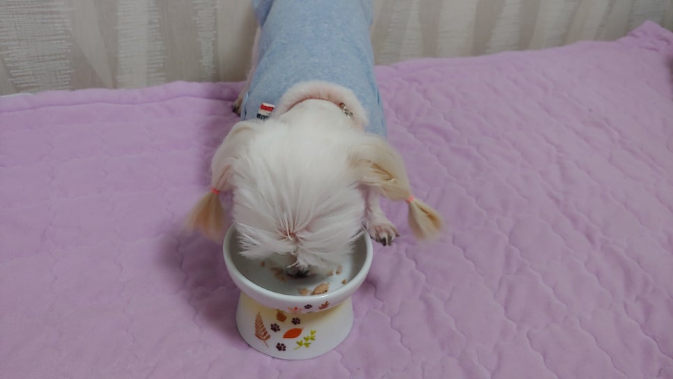 오지테이블 이미지