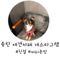 개스타그램 이미지
