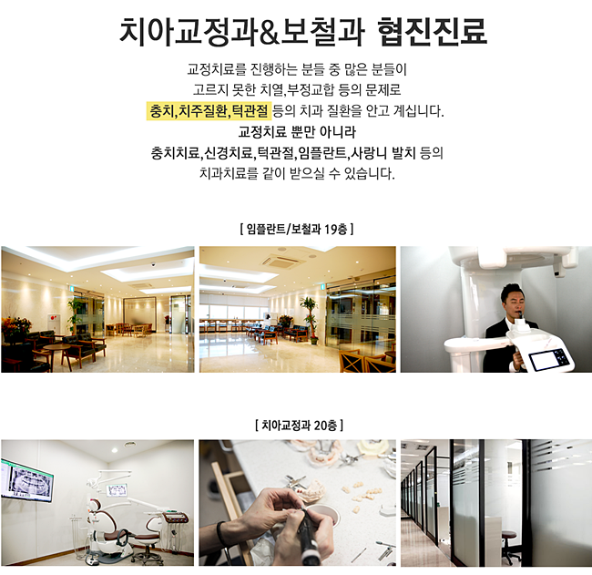 스티치킹콩 이미지