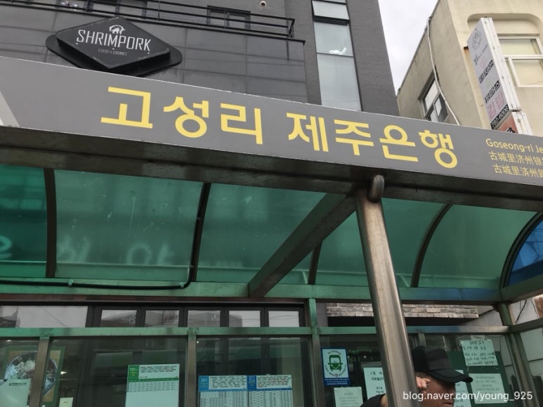 영진이용원 이미지