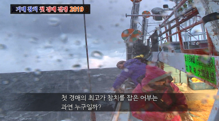 참치전쟁 이미지