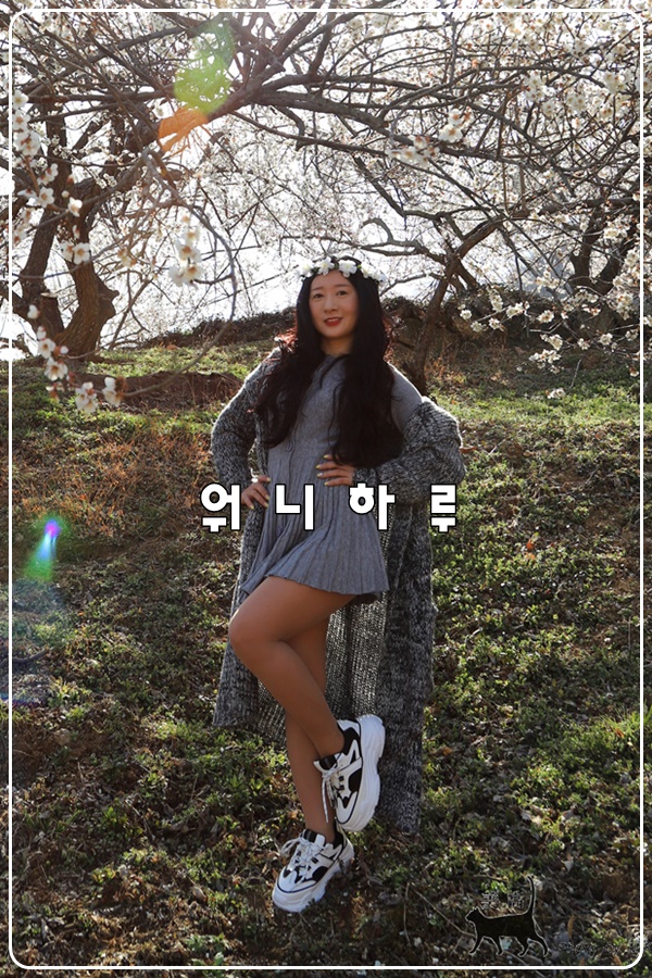 워니하루 이미지