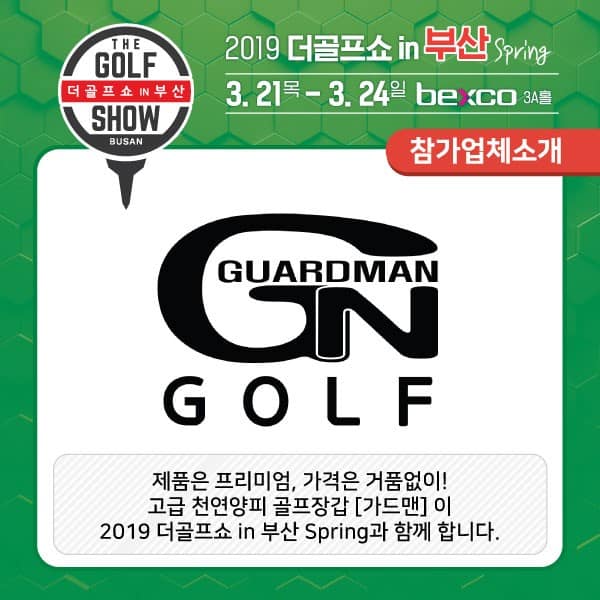 다인골프 이미지