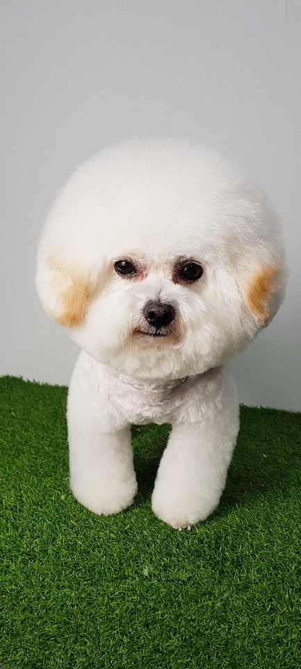 파리바게뜨수원탑동 이미지