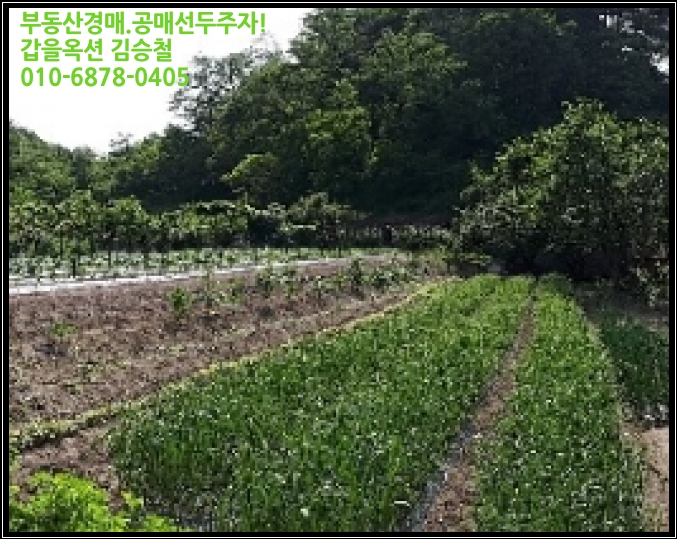대구동_강릉 이미지