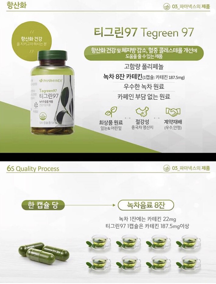 티그린 이미지