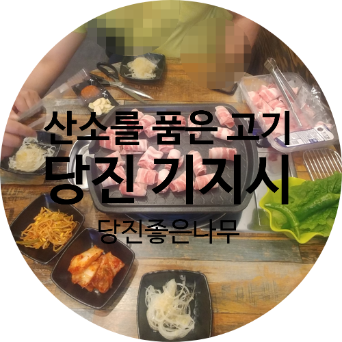 산소를품은고기 이미지