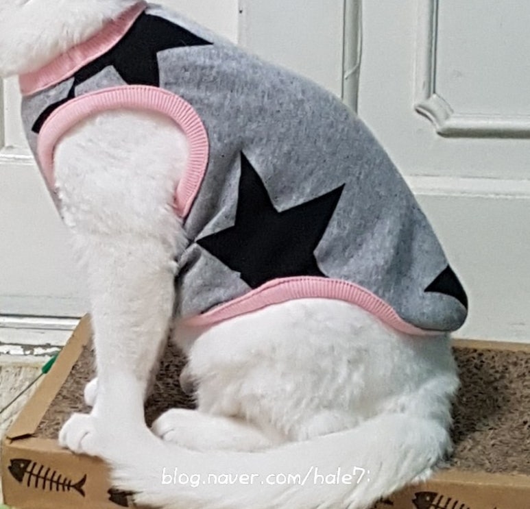 나나의재봉틀 이미지