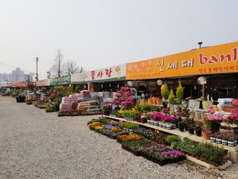꽃화원 이미지