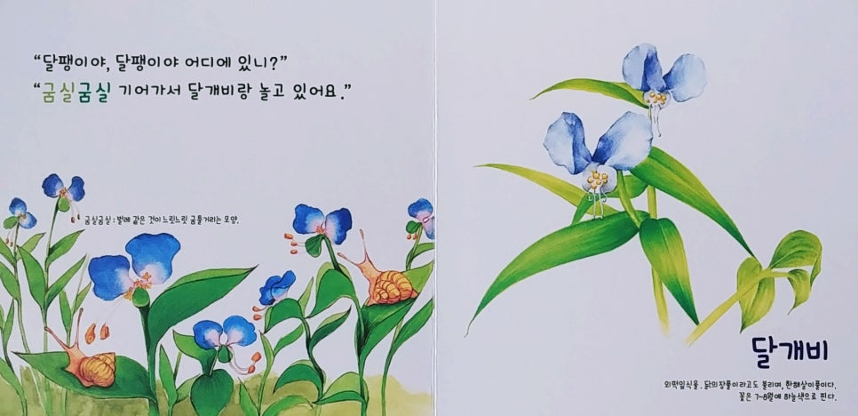 개구리노래클럽 이미지
