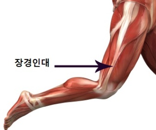강남휘트니스 이미지