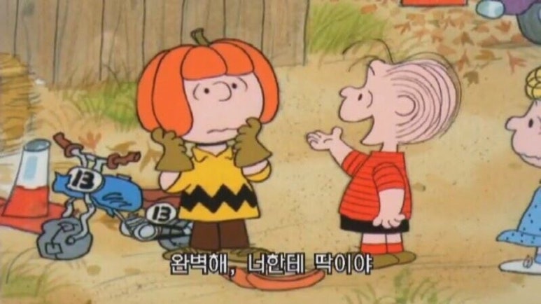 건양복사제본 이미지