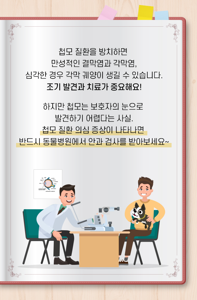고양이속눈썹 이미지