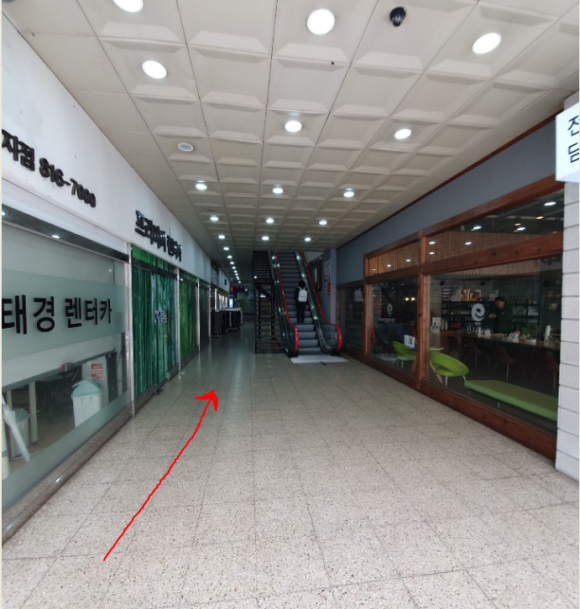 해바라기파출 이미지