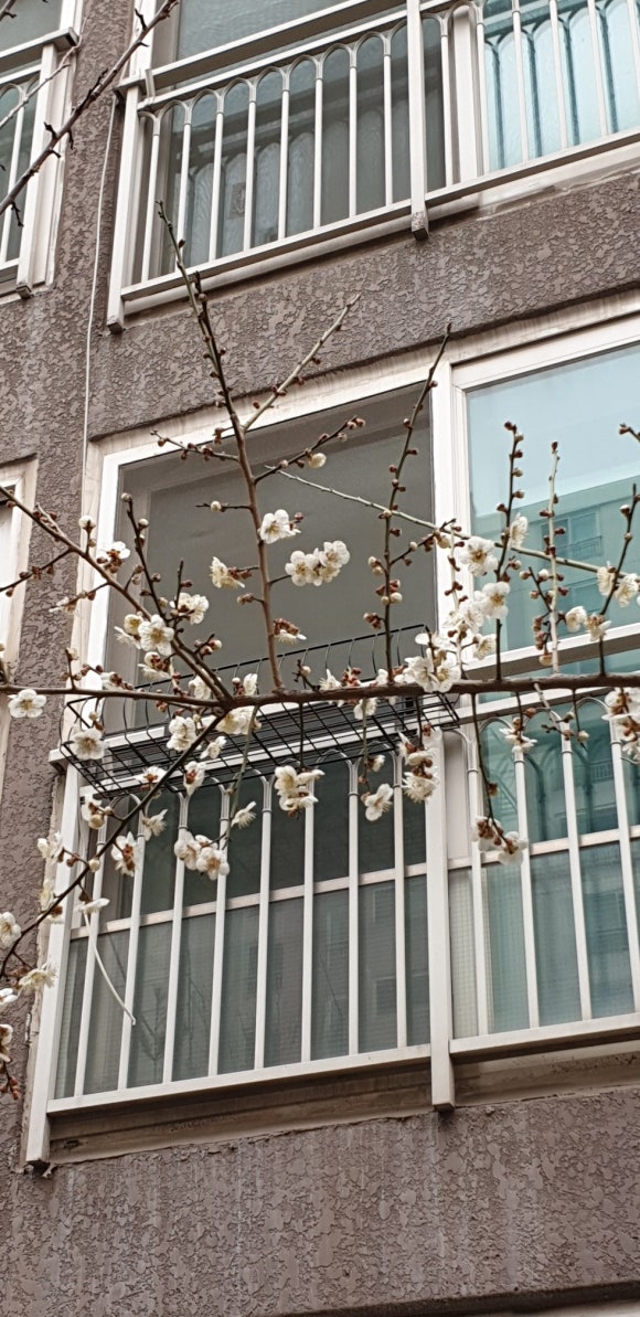 교하 청석 스포츠센타 이미지