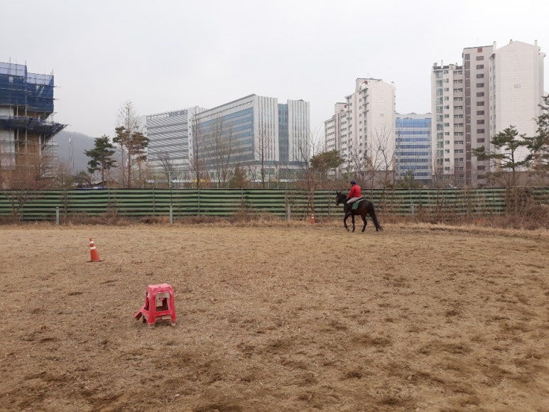 초원을 달리자 이미지