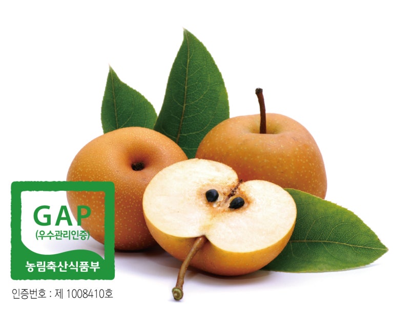 도미솔식품 이미지