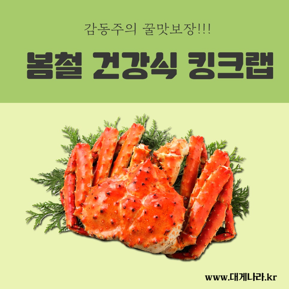 대게나라 이미지