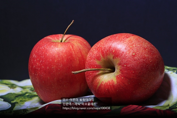 도테라코리아(유) 이미지